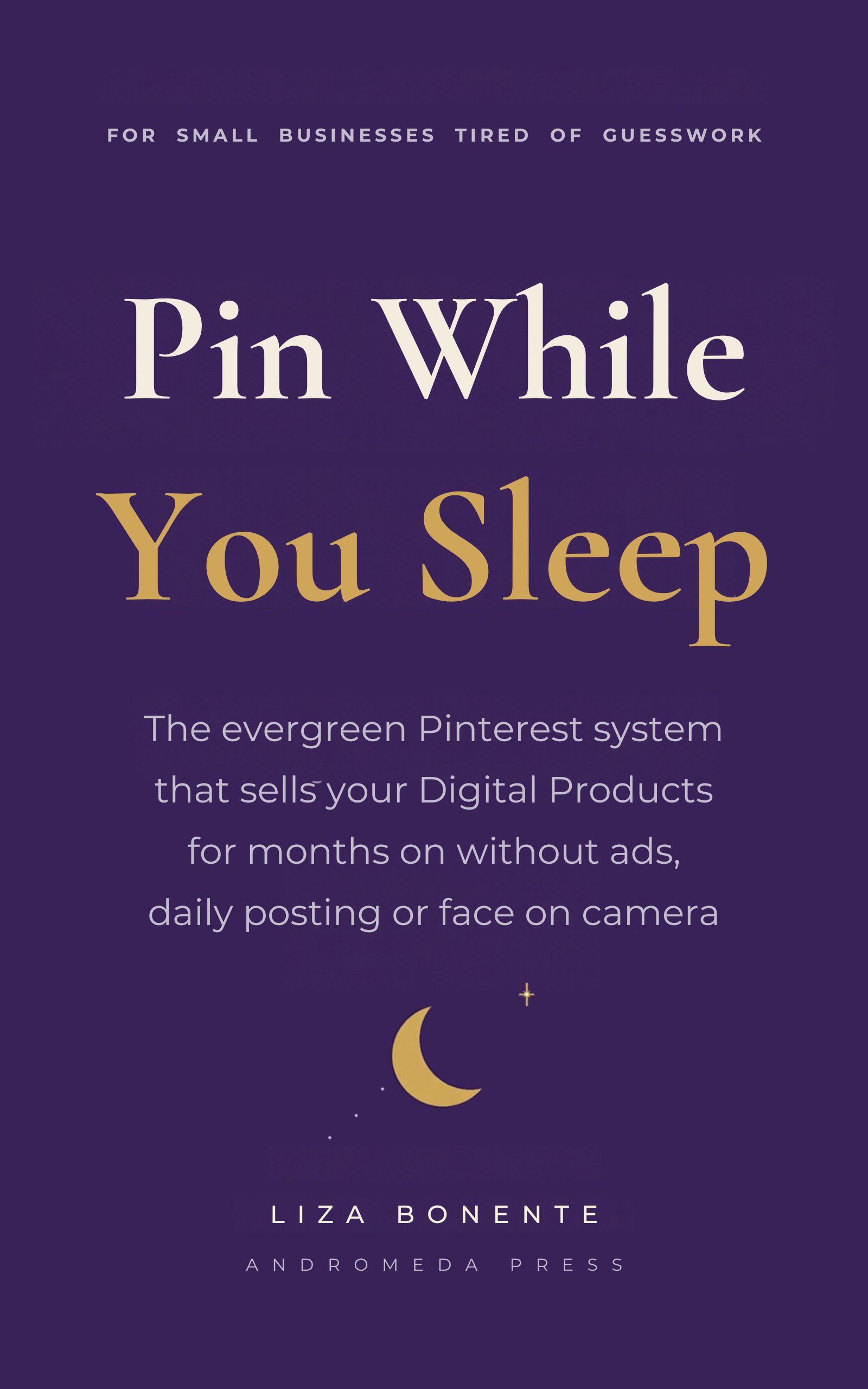 Pin While You Sleep — book cover