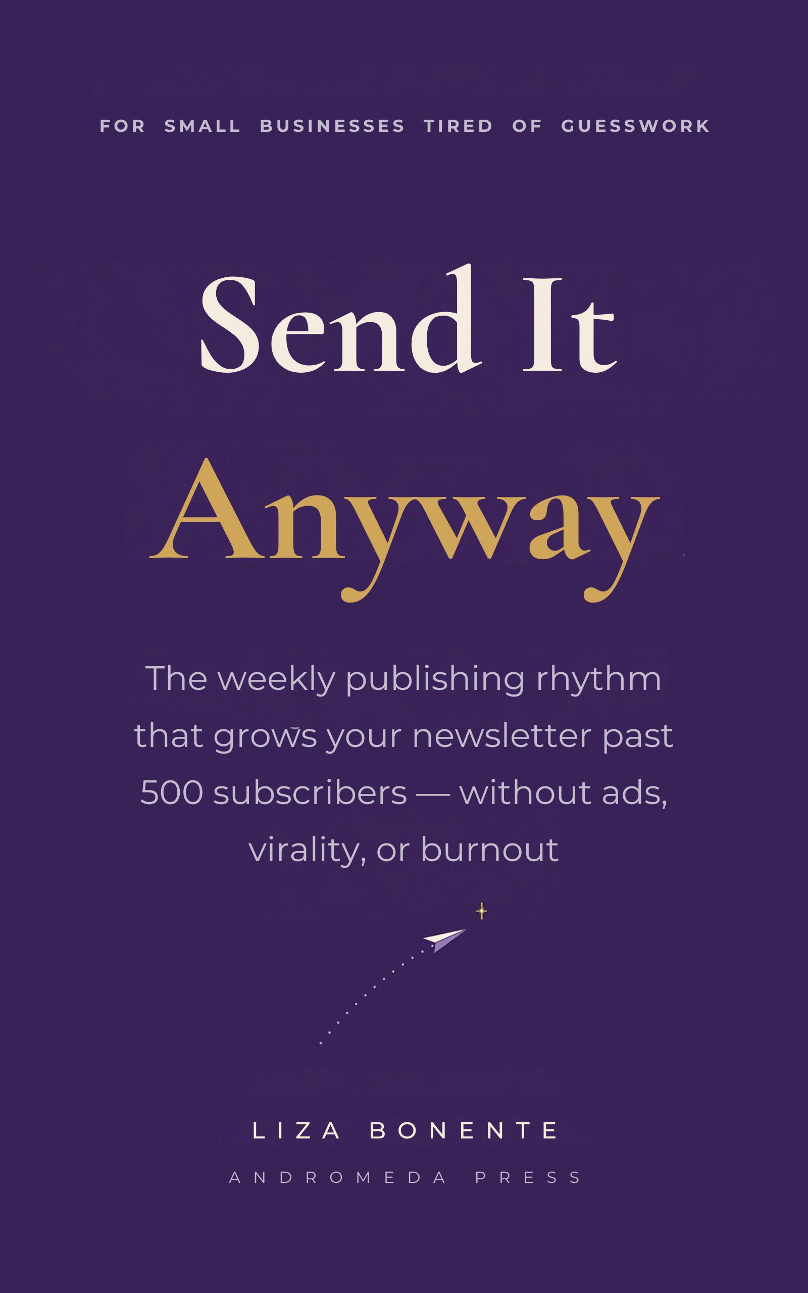 Send It Anyway — book cover