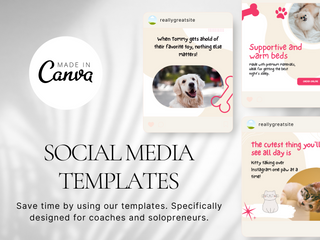 Pet Social Media template